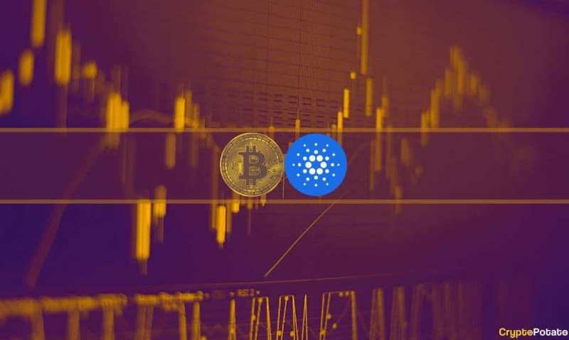 Bitcoin (BTC) Neared $45K But Cardano (ADA) Skyrocketed by 30% Daily (Weekend Watch)