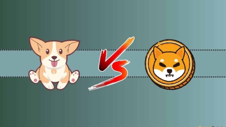 We Asked ChatGPT if BONK Can Replicate Shiba Inu’s Previous Bull Run