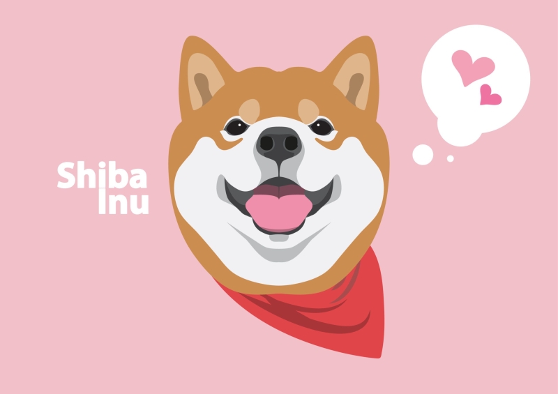 Lost out on Shiba Inu’s Rise? RBLZ Targets Replicating SHIB’s Success