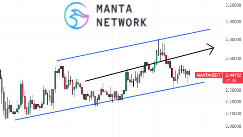 Manta Network Price Prediction as MANTA Starts Trending on CoinGecko– Next Big Thing?