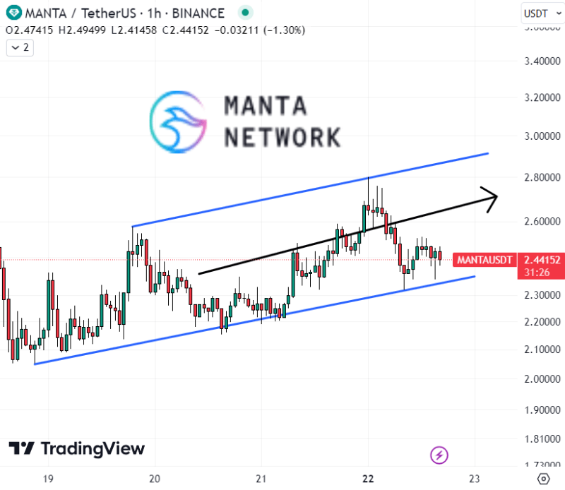 Manta Network Price Prediction as MANTA Starts Trending on CoinGecko– Next Big Thing?