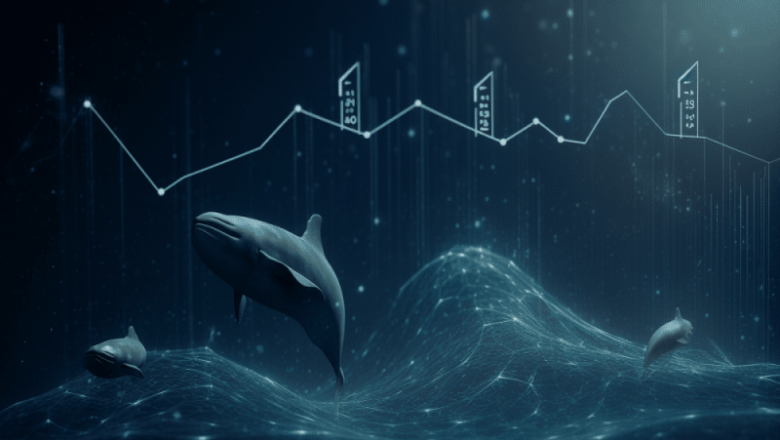 Ethereum: How whale activity can pave method for high ETH costs