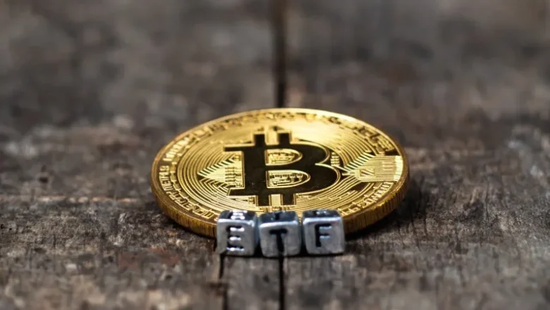 Bitcoin ETF Issuers May Dwindle by End of Year, Says Valkyrie CIO