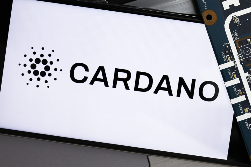 Expert Refutes ‘Inactive’ Cardano Claims, Says This Will be Game Changer