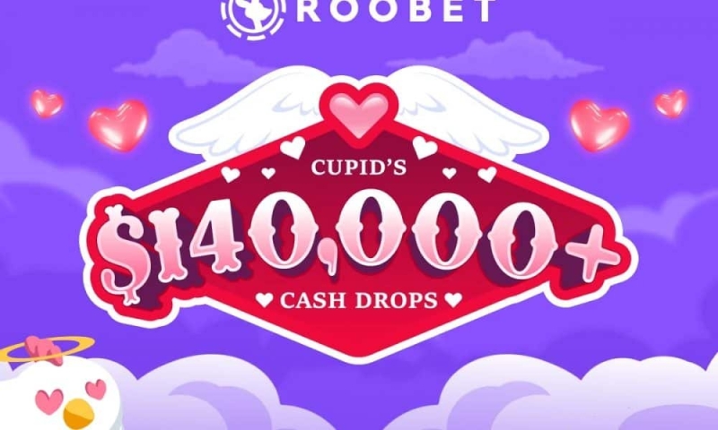 An introduction of Roobet: Crypto’s fastest growing gambling establishment