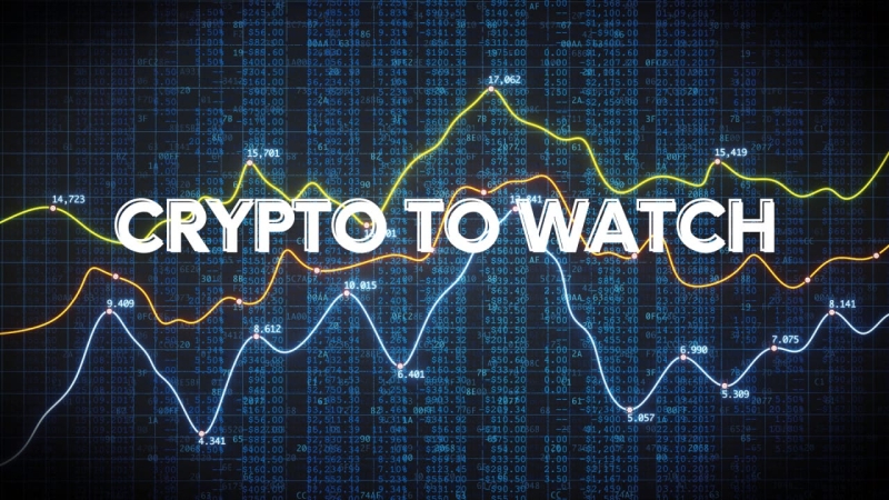 Professional Trader Unveils Top 5 Altcoins to Watch in 2024