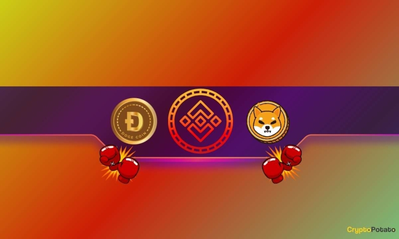 Huge Binance Announcement for Shiba Inu (SHIB) and Dogecoin (DOGE) Traders: Details