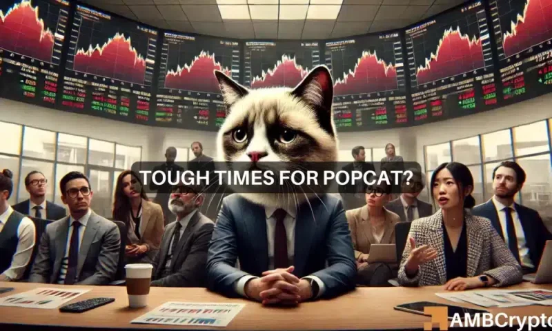 Examining why POPCAT’s rate might be at danger of 15% decrease