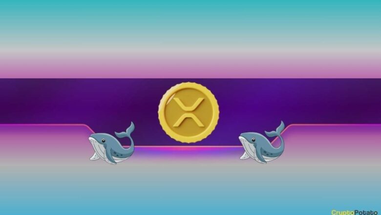 Ripple, Dogecoin Whales Bought the Dip as XRP, DOGE Prices Soar