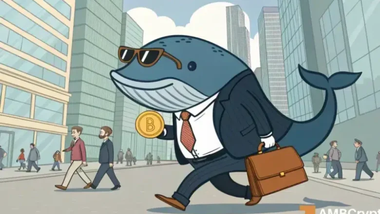 Dogecoin whales invest $80M: What this implies for DOGE costs