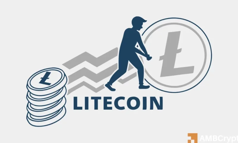 Litecoin’s active address rise: What it suggests for its cost pattern