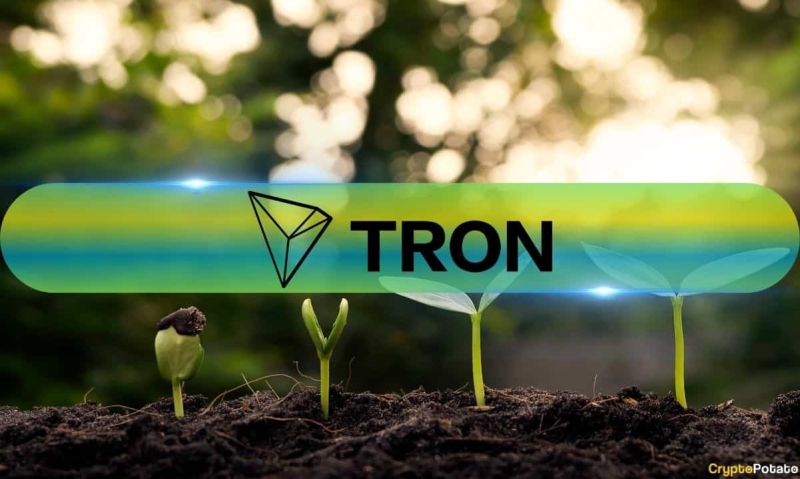 Tron (TRX) Price Heatmap: Is a Local Bottom on the Horizon?