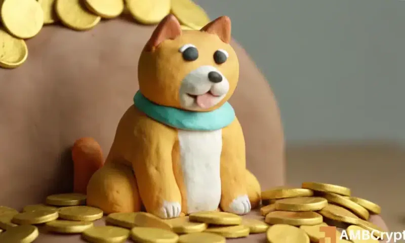 Shiba Inu whale builds up 220B tokens: Sign of a long-lasting healing?