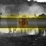 Bitcoin’s (BTC) Bull Market Remains Intact Amid Temporary Slowdown: CQ