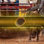 Here’s When the Current Bull Cycle Could End According to CryptoQuant