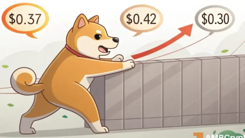 Dogecoin: Can DOGE hold THIS assistance as bulls lose the $0.37 zone?